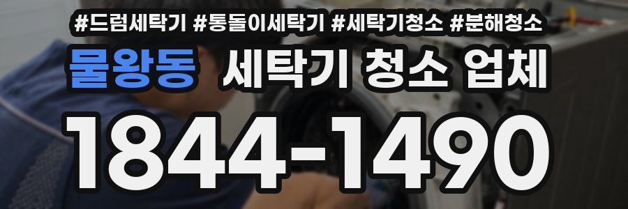 물왕동 세탁기 청소 업체