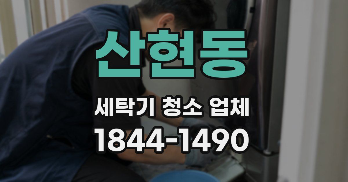 산현동 세탁기 청소 업체