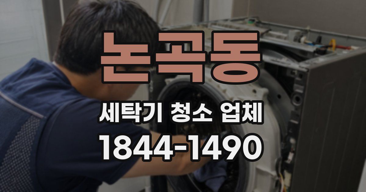 논곡동 세탁기 청소 업체