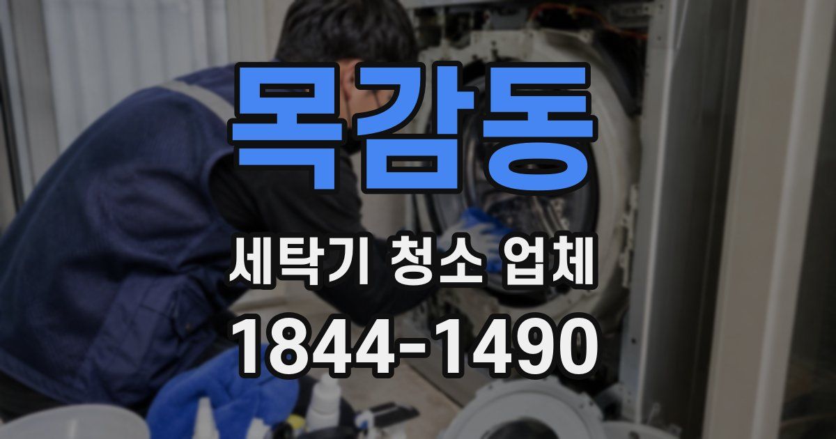 목감동 세탁기 청소 업체