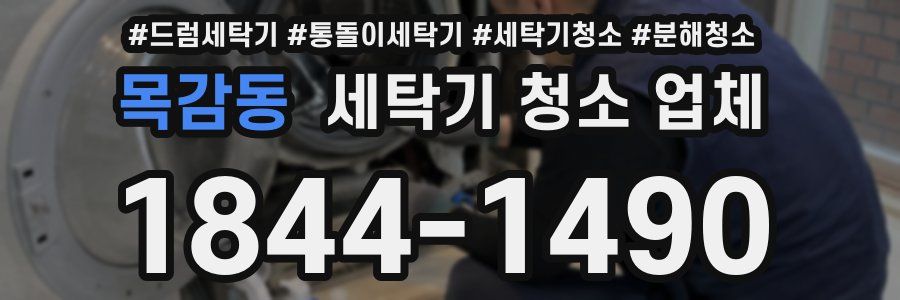 목감동 세탁기 청소 업체