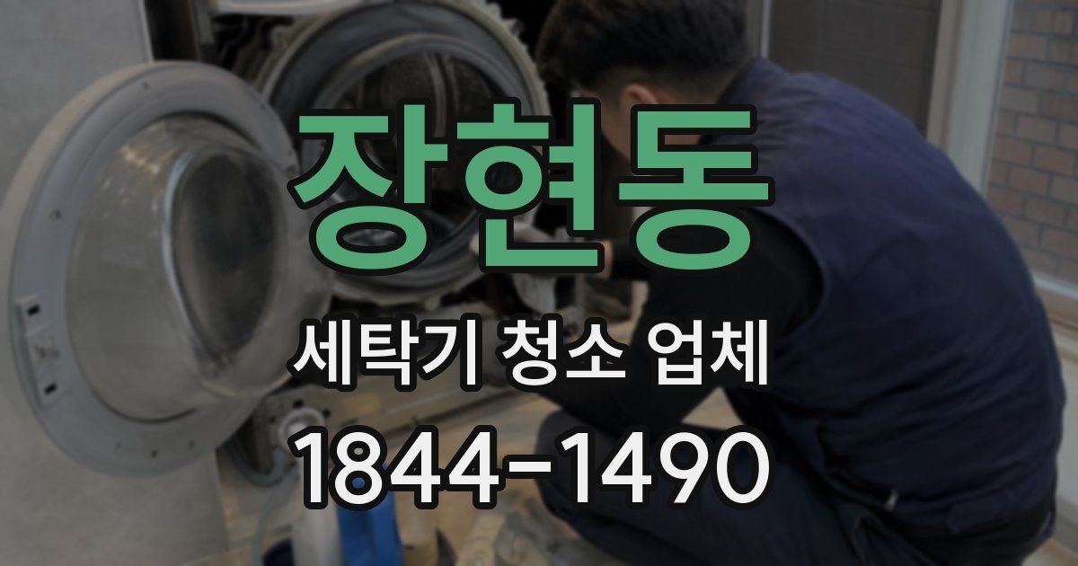 장현동 세탁기 청소 업체