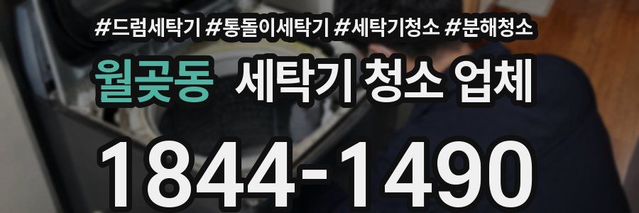 월곶동 세탁기 청소 업체