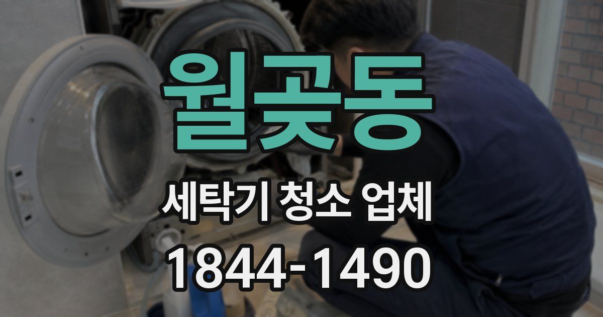 월곶동 세탁기 청소 업체