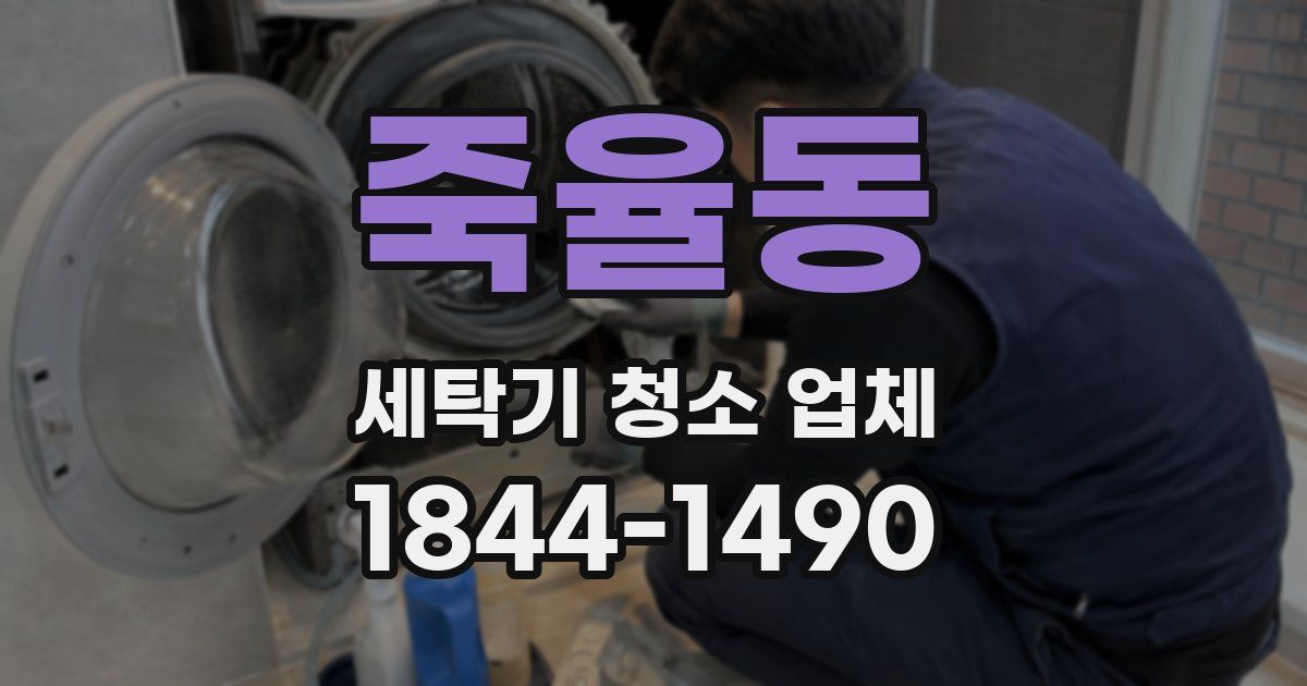 죽율동 세탁기 청소 업체