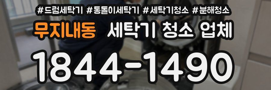 무지내동 세탁기 청소 업체