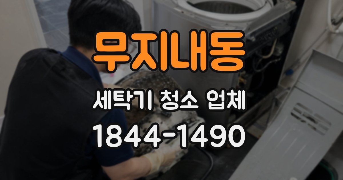 무지내동 세탁기 청소 업체