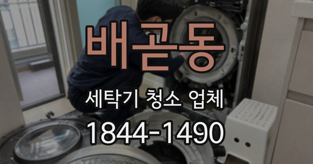 배곧동 세탁기 청소 업체