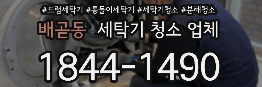 배곧동 세탁기 청소 업체