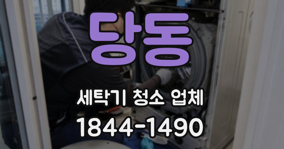 당동 세탁기 청소 업체