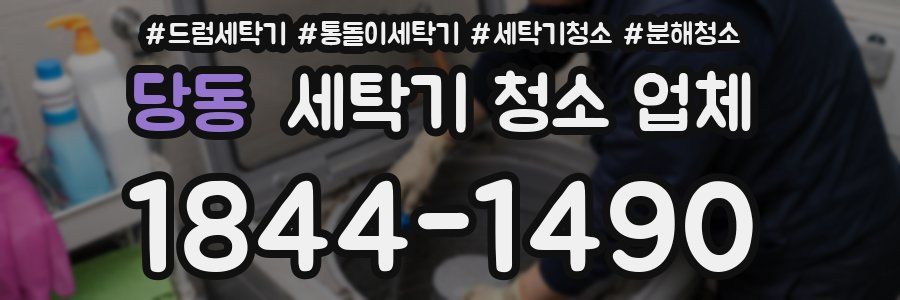 당동 세탁기 청소 업체