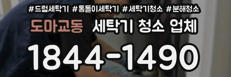 도마교동 세탁기 청소 업체