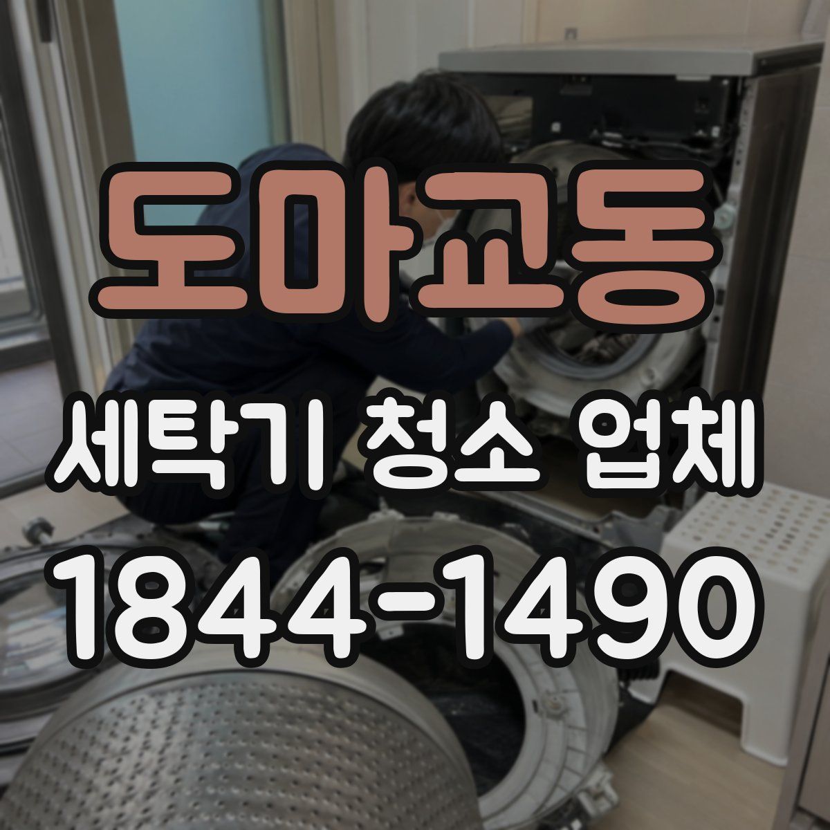 도마교동 세탁기 청소 업체