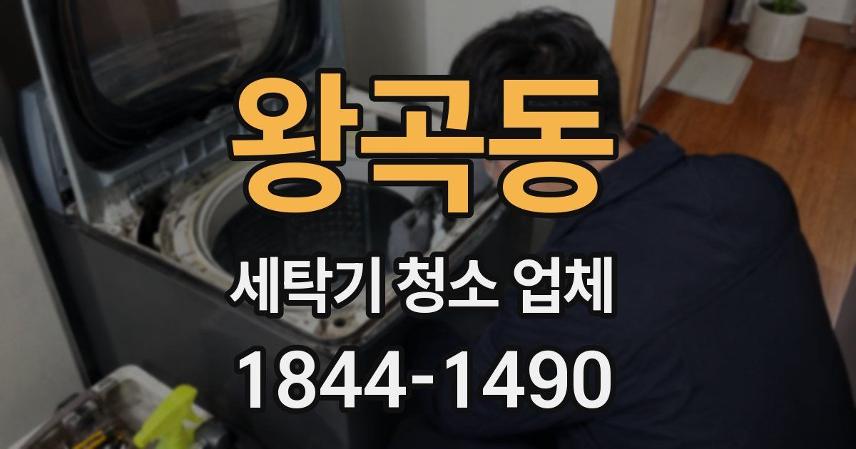왕곡동 세탁기 청소 업체