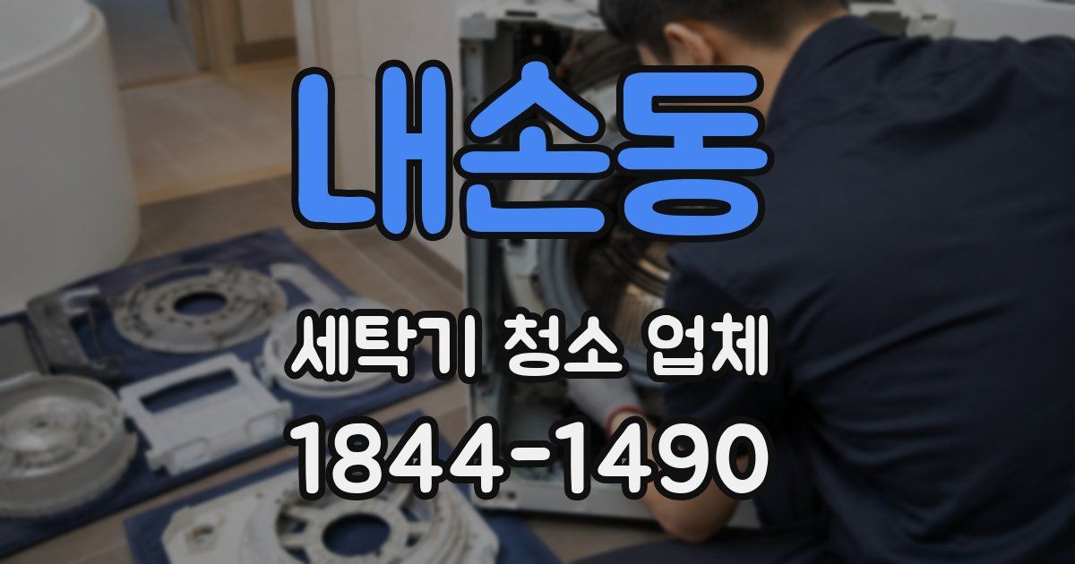 내손동 세탁기 청소 업체