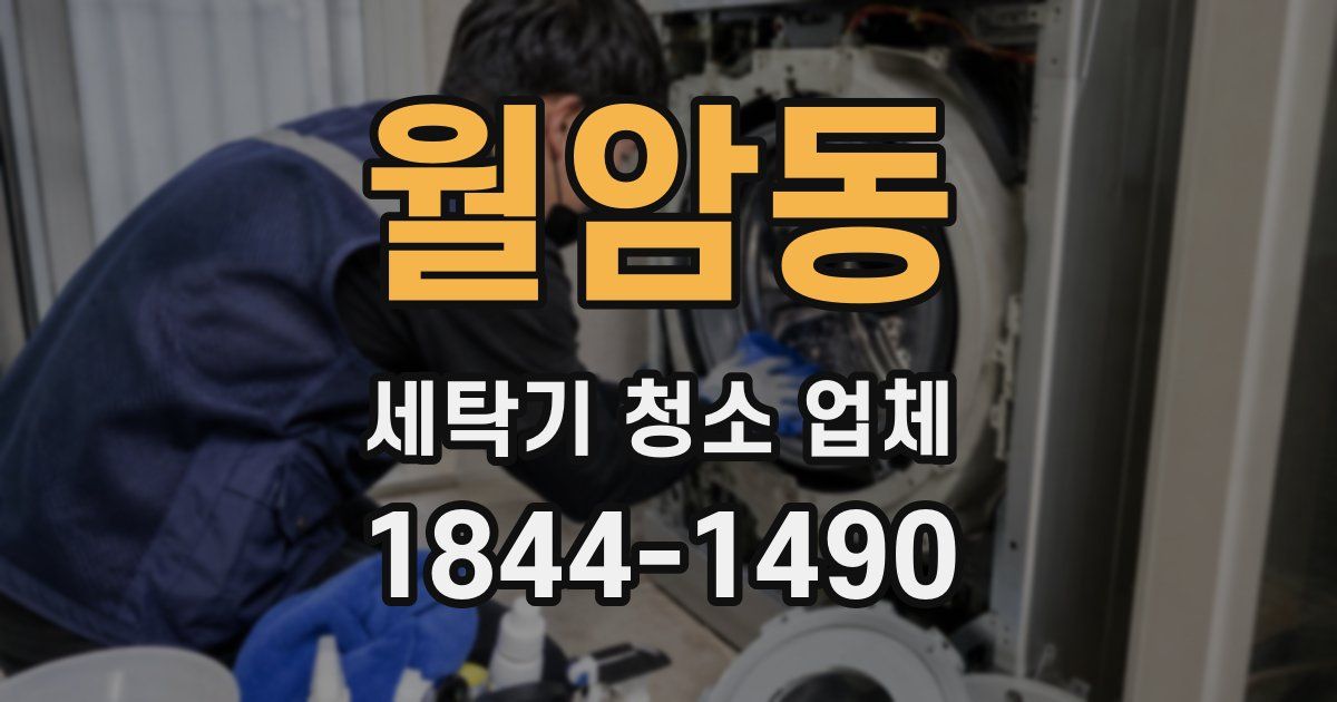 월암동 세탁기 청소 업체