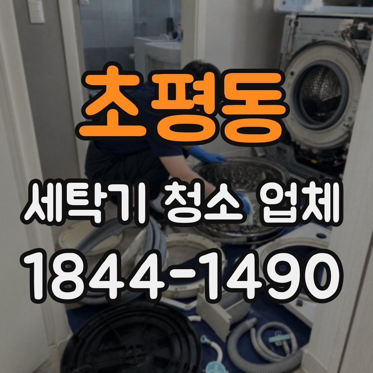 초평동 세탁기 청소 업체