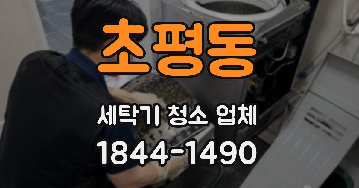 초평동 세탁기 청소 업체