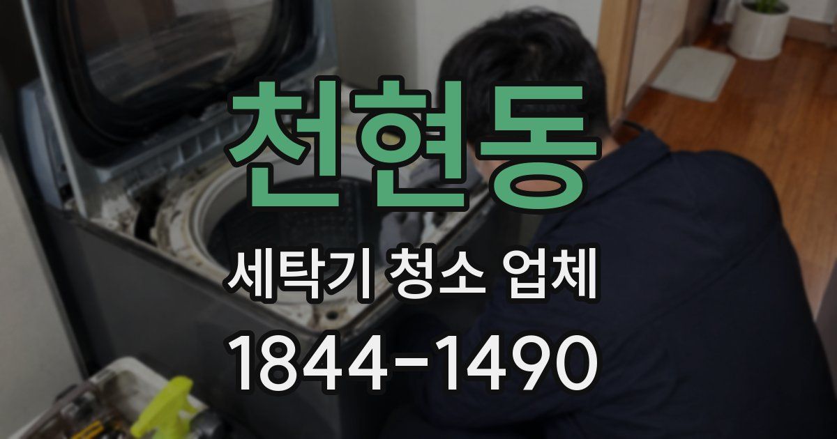 천현동 세탁기 청소 업체