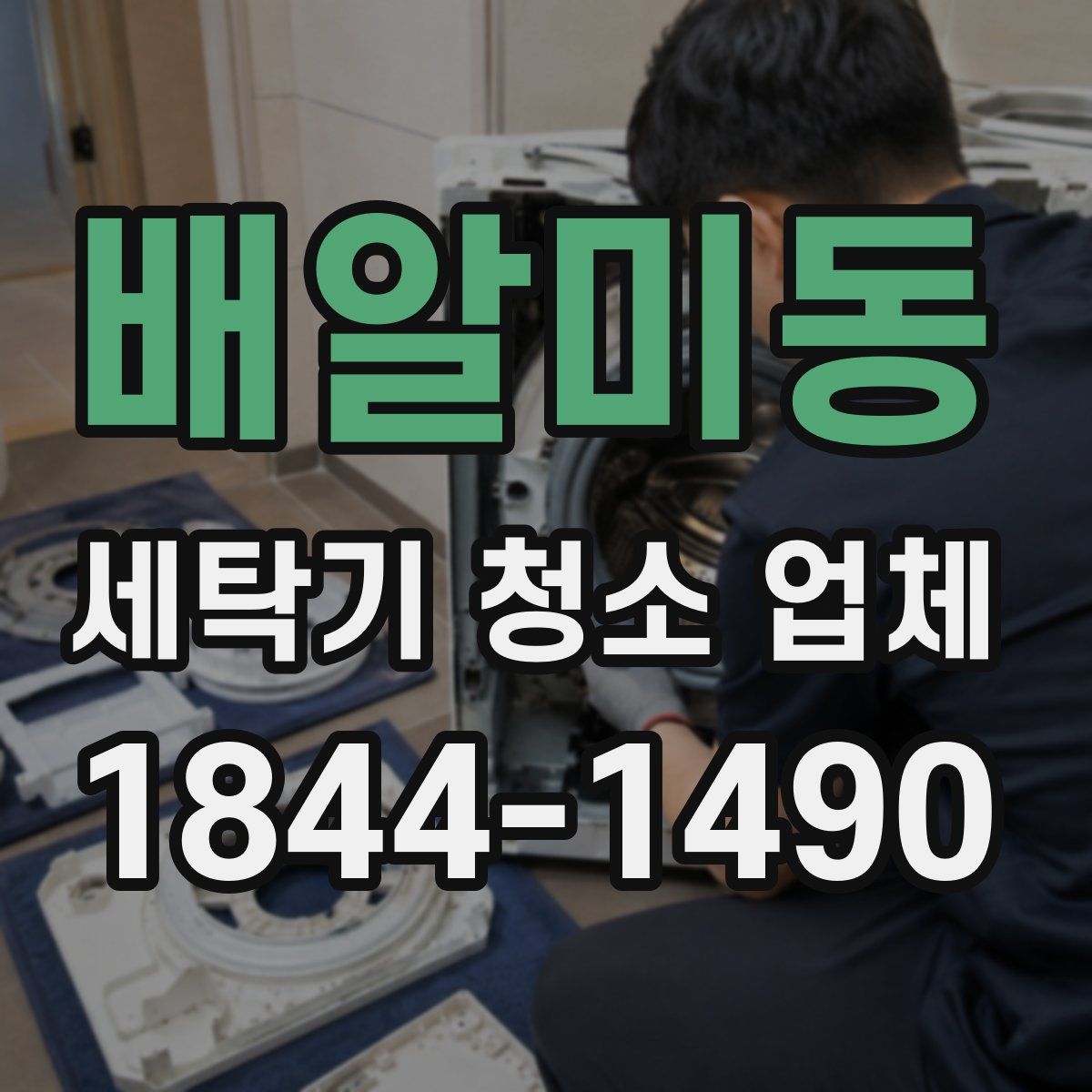 배알미동 세탁기 청소 업체