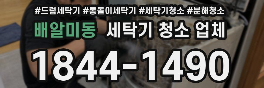 배알미동 세탁기 청소 업체