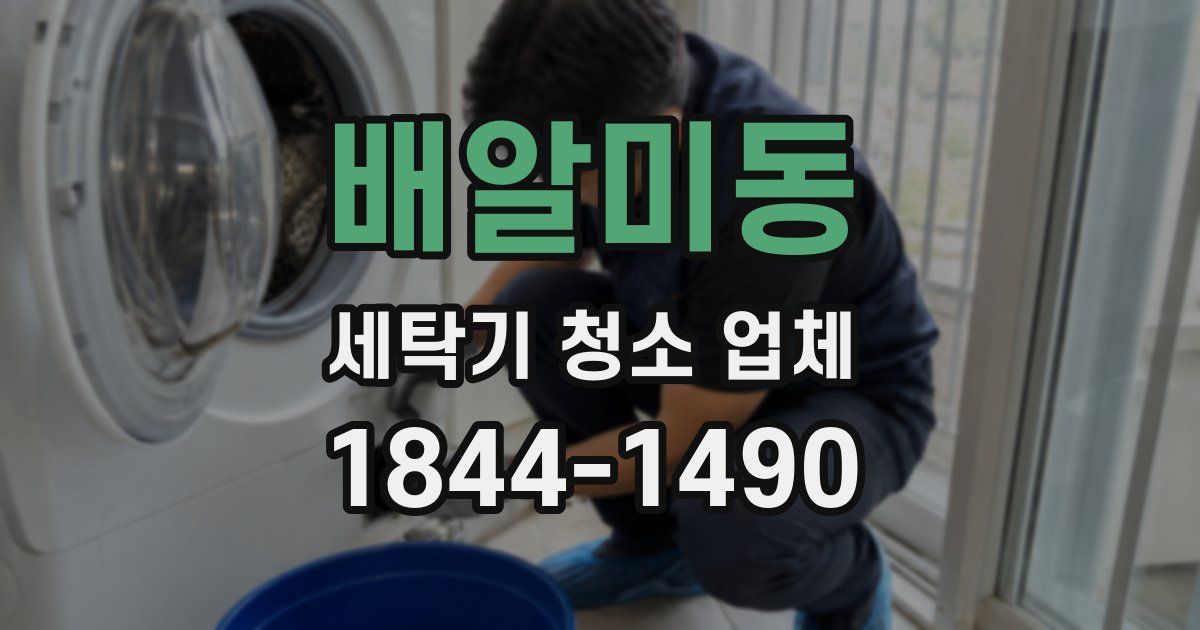 배알미동 세탁기 청소 업체