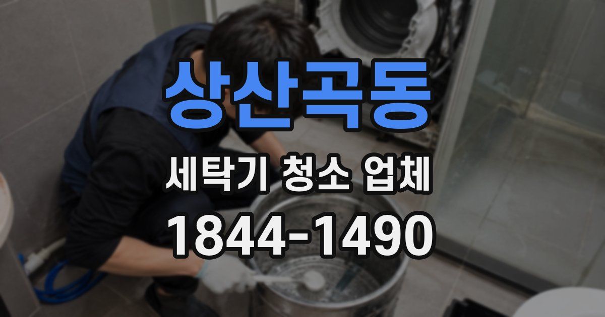 상산곡동 세탁기 청소 업체