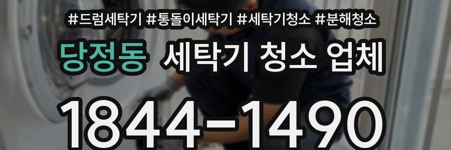 당정동 세탁기 청소 업체