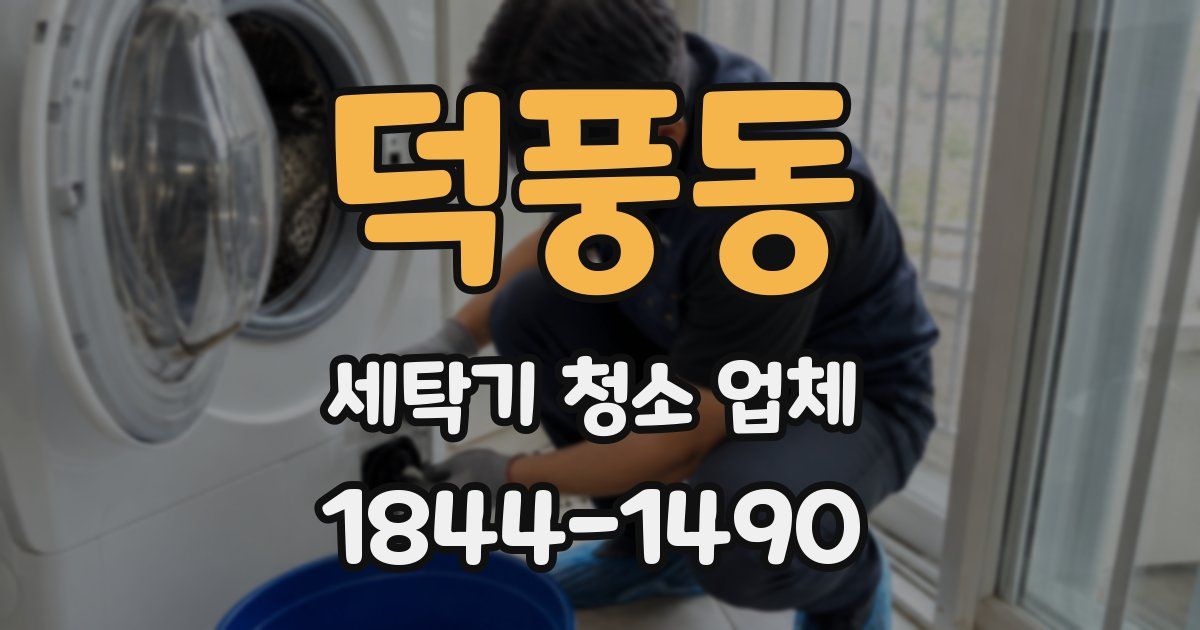 덕풍동 세탁기 청소 업체