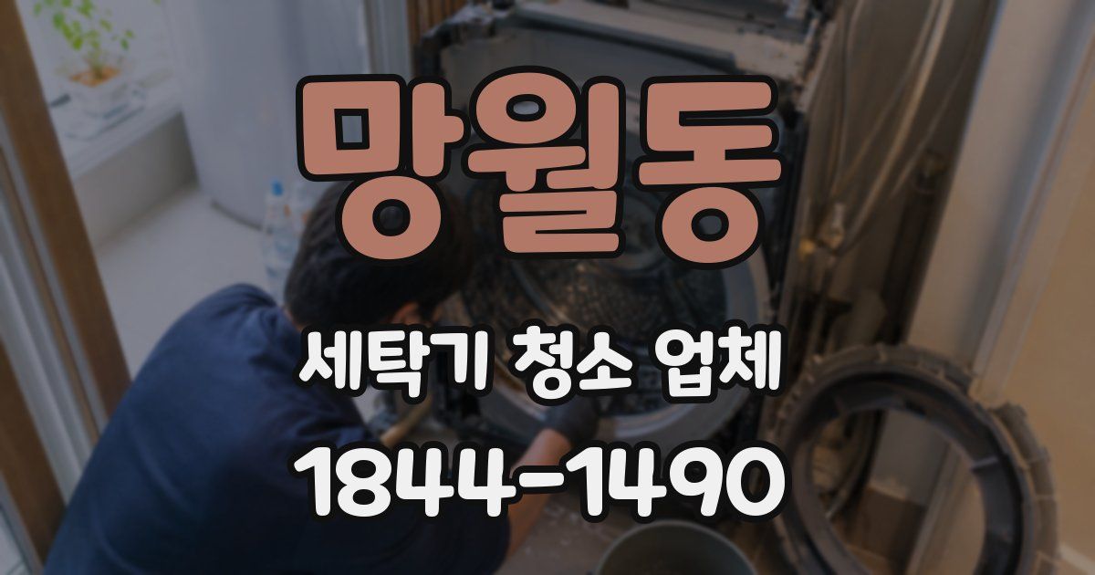 망월동 세탁기 청소 업체