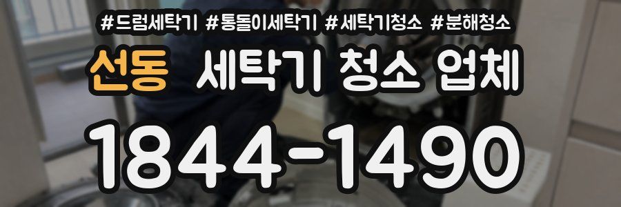 선동 세탁기 청소 업체