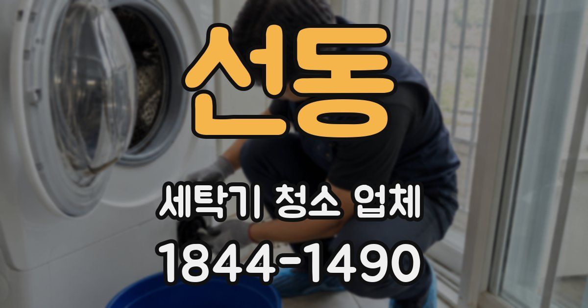 선동 세탁기 청소 업체