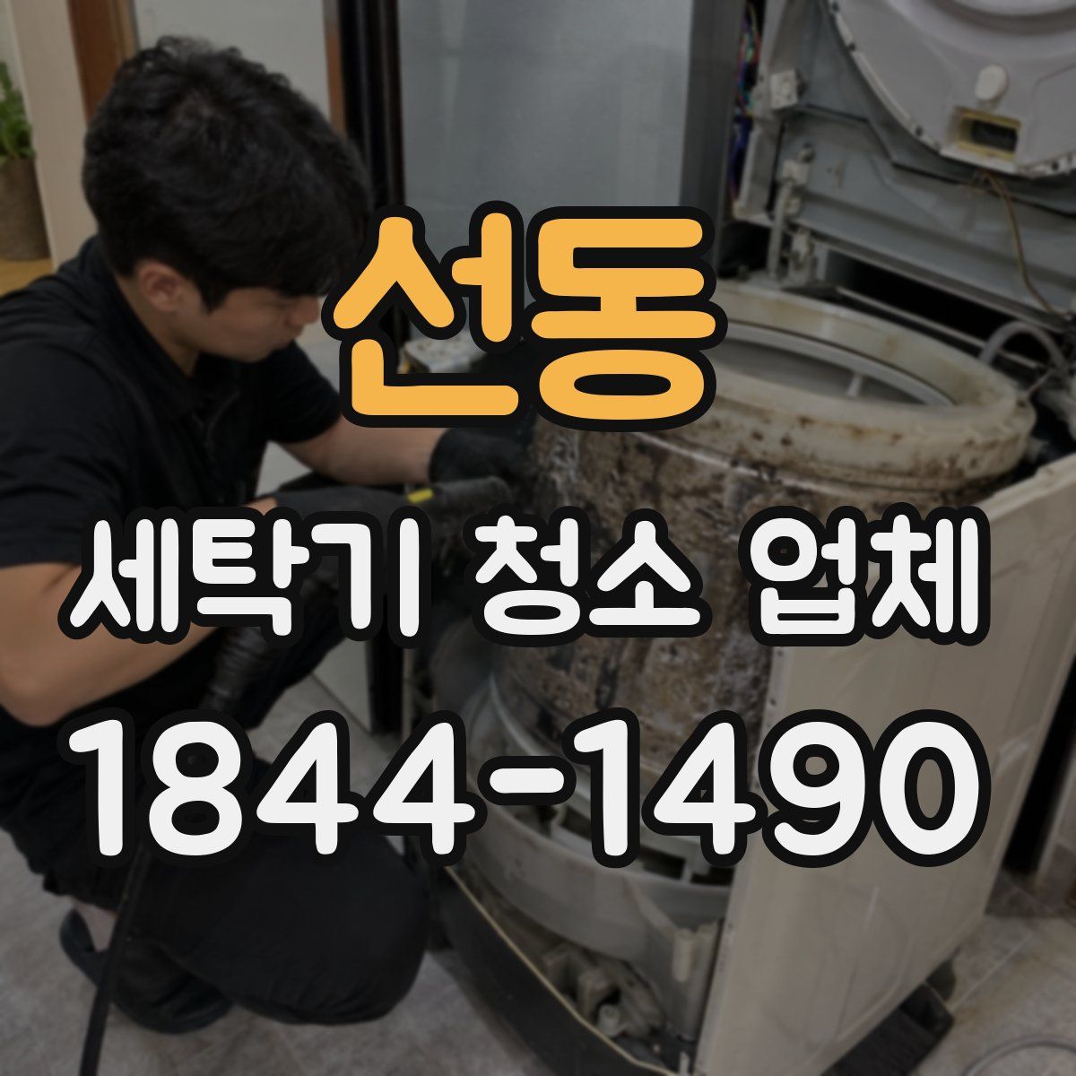 선동 세탁기 청소 업체