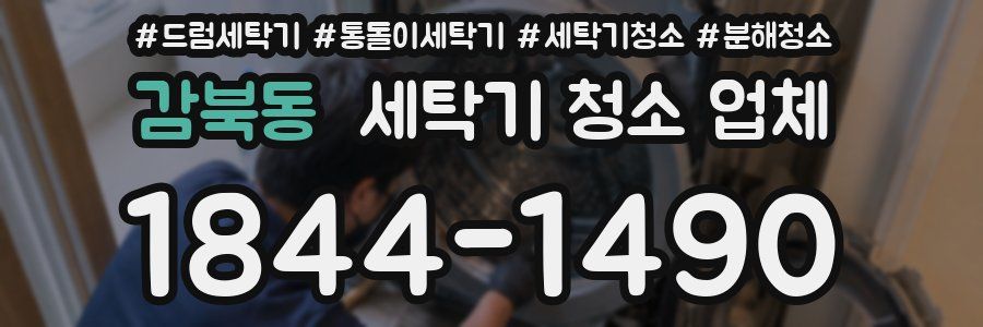 감북동 세탁기 청소 업체
