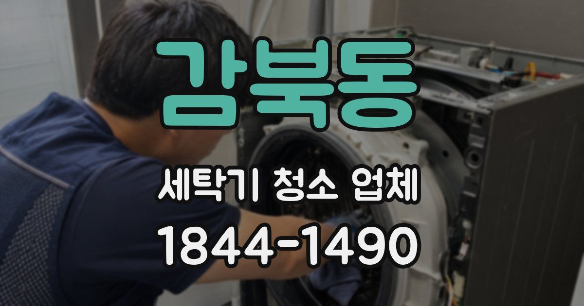 감북동 세탁기 청소 업체