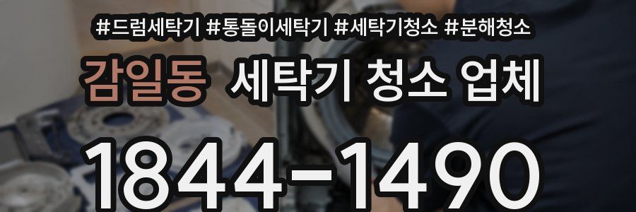 감일동 세탁기 청소 업체