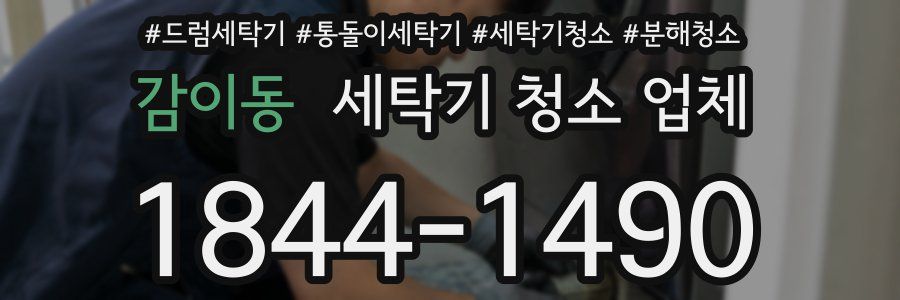 감이동 세탁기 청소 업체