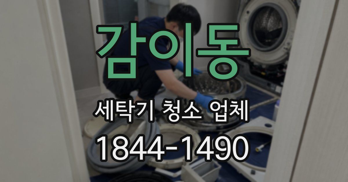 감이동 세탁기 청소 업체