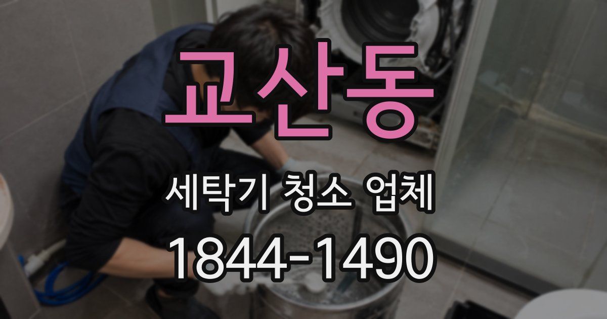 교산동 세탁기 청소 업체