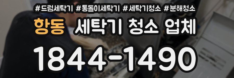 항동 세탁기 청소 업체