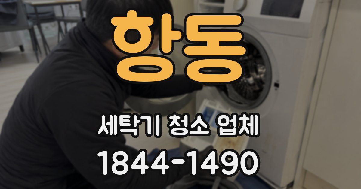 항동 세탁기 청소 업체
