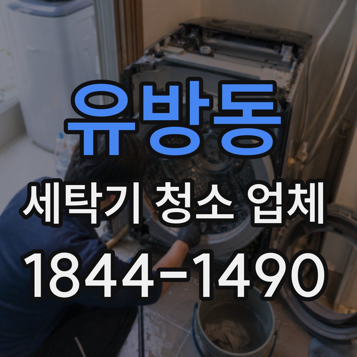 유방동 세탁기 청소 업체