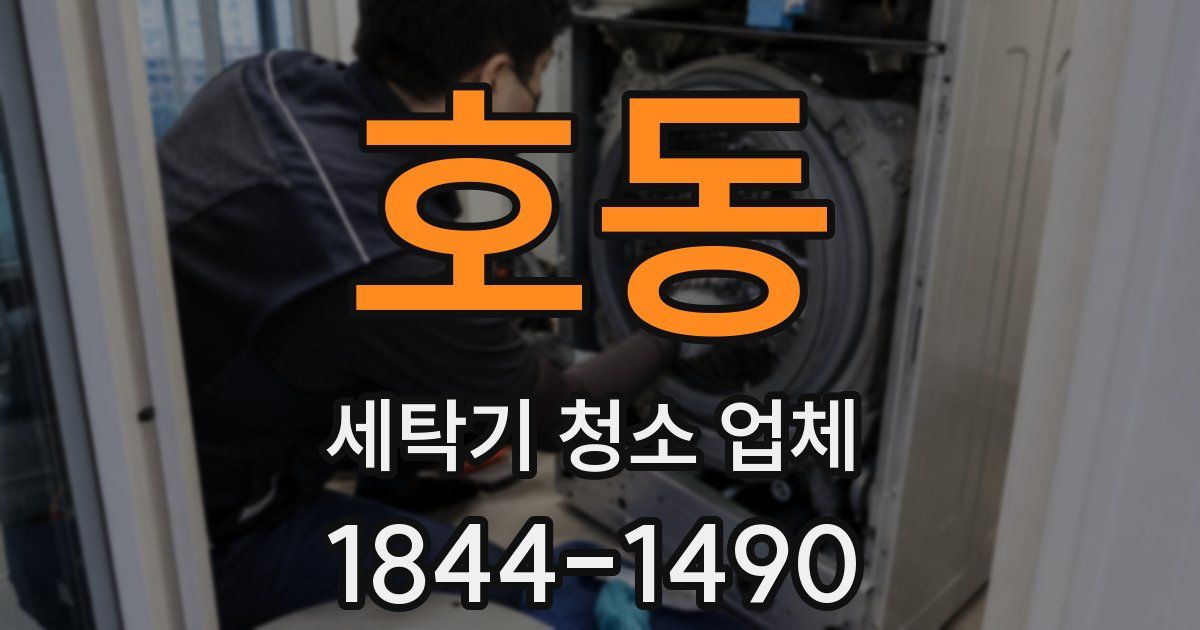 호동 세탁기 청소 업체