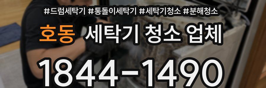 호동 세탁기 청소 업체