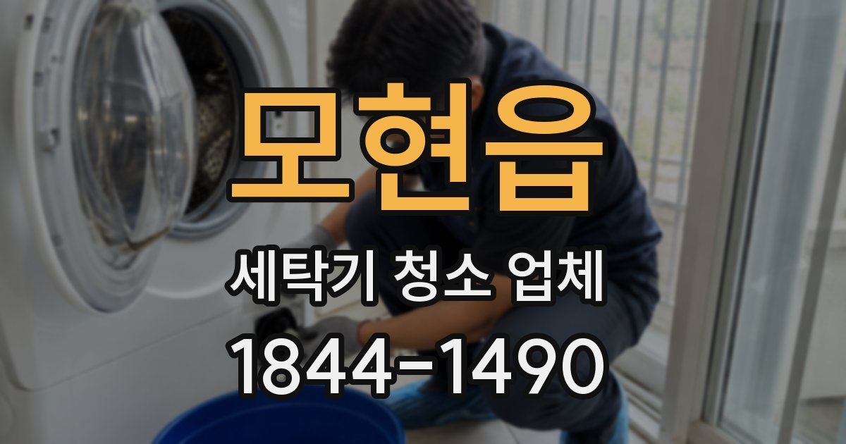 모현읍 세탁기 청소 업체