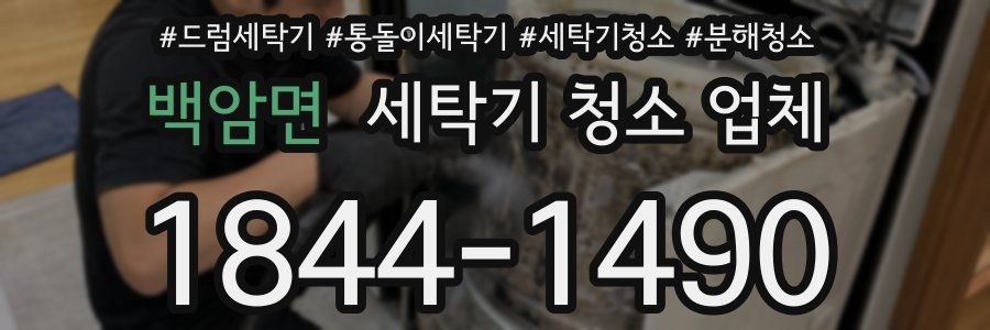백암면 세탁기 청소 업체