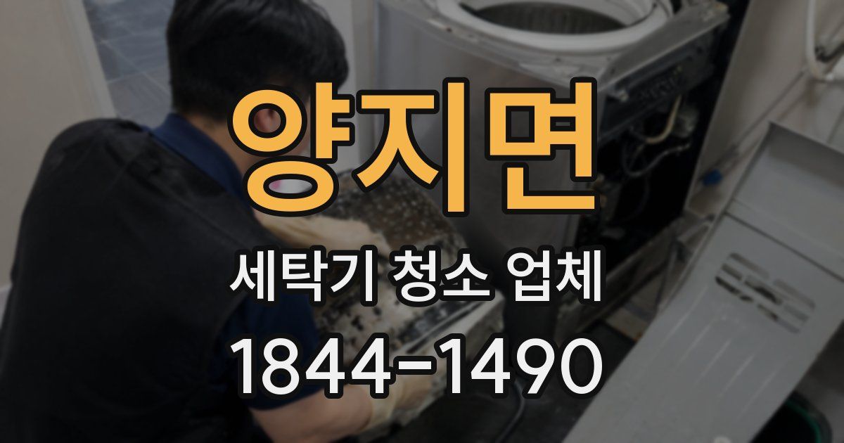 양지면 세탁기 청소 업체