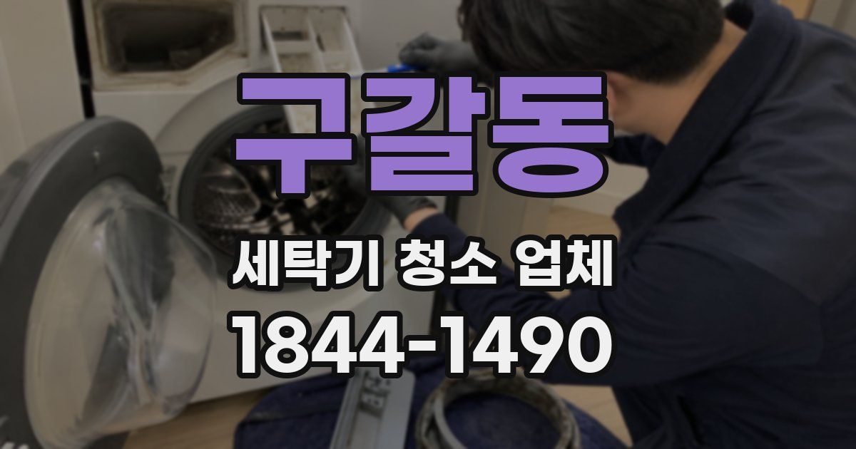 구갈동 세탁기 청소 업체