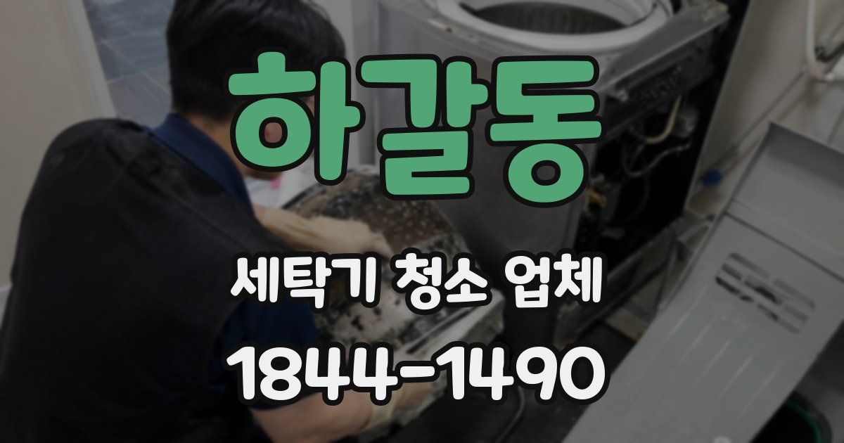 하갈동 세탁기 청소 업체
