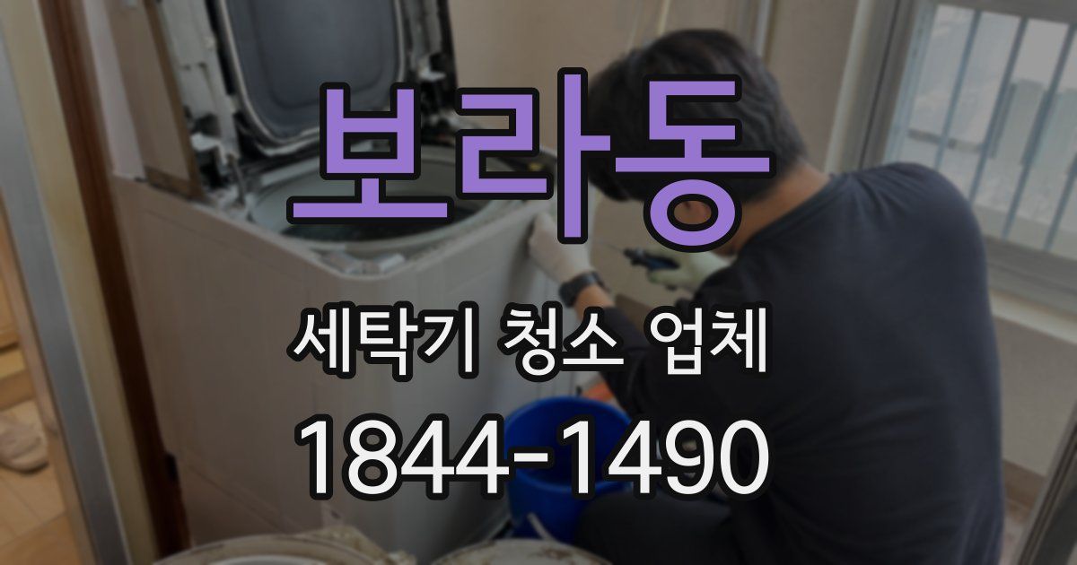 보라동 세탁기 청소 업체